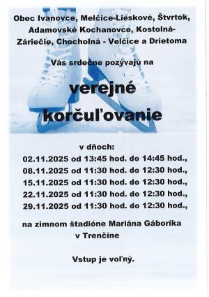 Verejné korčuľovanie