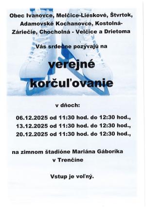 Verejné korčuľovanie 